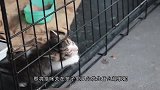 所以，这个笼子存在的意义是什么