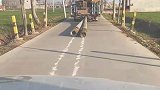 这么一条小路还给画起了双实线