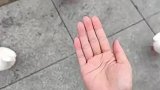 女子空手喂鸽子，鸽子蜂拥而上后发现被忽悠