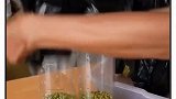 我来教你怎么在家自制豆芽菜吧，看完视频的你学会咋做了吗
