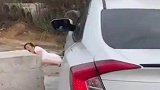 不看到最后不知道主角到底是谁