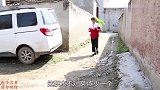 短剧：小伙伴们一起玩神奇积木，没想脑王欢欢上线完成拼图！
