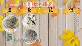 大医本草堂-20191220-“癌王”的全程管理