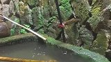 我家的饮用水