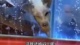 这猩猩是失恋了吗怎么还抽上烟了呢