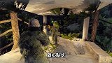 为了抓到野生酋长，我们搭建了隐形小屋