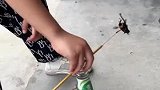 你们小时候有玩过吗，反正我玩过