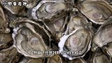 中国最能“吃生蚝”村子，一年吃掉50万斤，还用生蚝壳建房子
