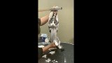 给猫咪脱毛,感觉它被绑架了一样