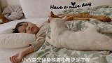 昨日霜降，天冷怎么办？猫咪们来给宝宝暖被子