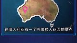 最稀奇的旅游胜地