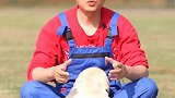 第二十集 狗狗乱拉乱尿，这次纠正他（上）训练狗狗排便  星探家