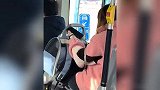 女子用猫包带猫咪上公交车，遭司机拒绝后僵持不走怒吼：就你事多！