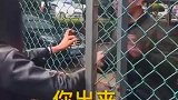 这小哥哥和小姐姐脾气不小呀，就是胆子不大！