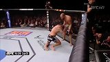 UFC-14年-UFC181：重量级布朗vs肖布集锦-精华