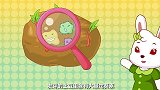 兔小贝：发芽土豆不能吃！