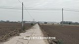 秋收之后开始种小麦，带大家看看播种的景象，你有多久没见过了？