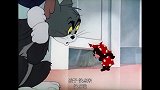 猫和老鼠：杰瑞只要一乔装打扮，汤姆就开始犯糊涂