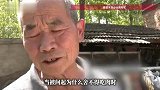 9岁男孩与爷爷相依为命，不舍得吃肉带回家给爷爷感动全网，老人：不会让他被收养