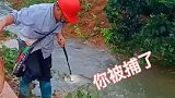 你敢相信鱼还能这样捕吗