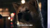 有深意杨丞琳深夜发李荣浩跟狗子对比照，配文自己品