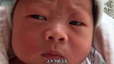刚生下来的小宝宝，眼珠子不停的转，寻思啥囊