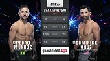 UFC269副赛：佩德罗-穆尼奥斯VS多米尼克-科鲁兹