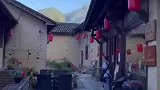 众人撬开石板救出刚出生的小猫，猫妈妈围着恩人绕圈道谢