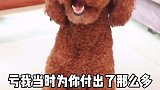 有多少感情走过共苦，却跨不过同甘