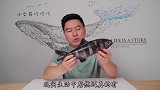 全网首吃百年一遇的领航鱼，连鲨鱼都要保护它，出锅后翻车了