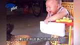 自从家里来了这只鸡，再也不用哄娃了，网友：这是买了个保姆啊