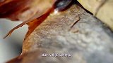 用炭火烤稻花鱼，外皮韧香口感丰富，配着小酒简直不要太舒服！
