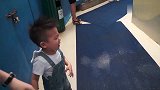 小宝宝去看白鲸，结果让白鲸给无情的洗礼了，小娃被浇的一脸懵圈