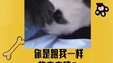 你是跟我一样的宝宝嘞嘛
