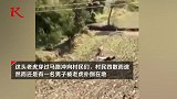 印度男子被老虎扑倒在地 一动不动装死躲过一劫