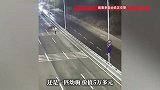 两岁半萌马夜闯高架桥，警察客串“马倌”护送回家，主人：遭排斥，打架被咬伤负气出逃