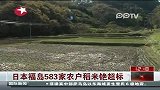 日本福岛583家农户稻米铯超标