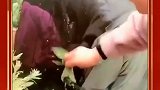 今天来的很早，粉色大男孩我们又来了，今天带你喜欢的粉色的花了