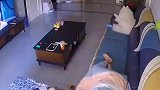 女孩躺在沙发上被冻醒了，狗狗赶紧过来用肚子暖脚