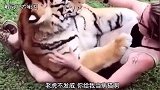 熊：我踩过点啊，这里明明是猪圈，怎么变成狗窝了呢！