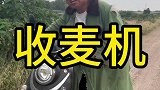 农村孬蛋会变好吗