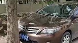这车是怎么停进去的，先种的树还是先停的车