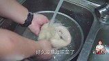 为什么四川凉菜特别好吃？看师傅做这道凉拌牛肚，口水都忍不住了