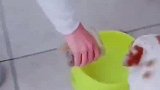 爆笑：来车展一辆车没看，回家后手机里都是模特的照片