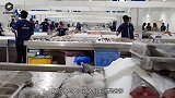 水塘3万斤鱼苗消失不见，渔民抽干水后，收获了意外的惊喜！