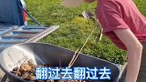 美国农村生活，最近有个大工程，要把后院清理下