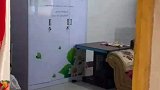 公公搂着婆婆的腰玩电脑，儿媳无意闯入婆婆立马害羞把公公推开