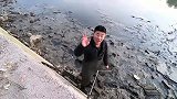 鱼塘清理中发现一条二十八斤巨型鲶鱼终于知道小鱼都去了哪里