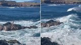 美国一男子海边看日出遇涨潮被困岩石上 冒险跳入水中逃离