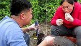 老公下厨露一手，4斤香辣爆炒田螺，汤鲜味美，胖妹吃过瘾